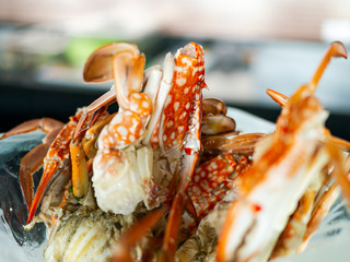 Steamed crab in plate