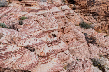 Winter snowy landscape of the famous Red Rock Canyon