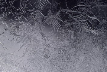 winter pattern on the window made of frost crystals