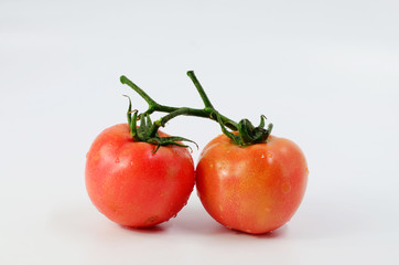 Fresh tomatoes on a white background