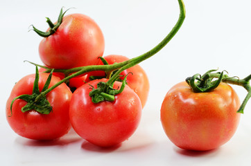 A bunch of tomatoes on a white background