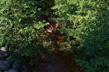 Mounr Rainier National Park, Washington