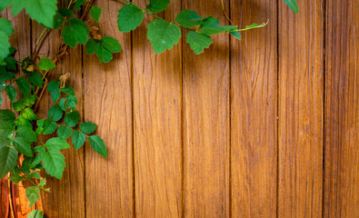 Brown wood wall texture with natural patterns background.