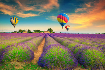 Violet lavender fields with colorful hot air balloons, Provence, France