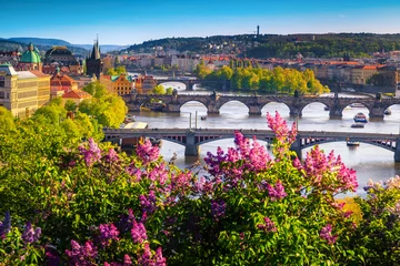 Rolgordijnen Wonderful spring panorama of Prague with river and bridges © janoka82