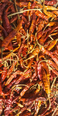 dried red peppers in market