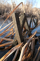 Posts in a Stream