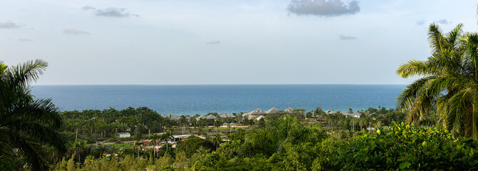 Scenic view lowers plants and trees and the ocean in Montego Bay, Jamaica.