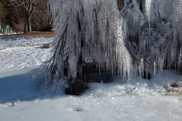 It is known for frost-covered trees which can be viewed in winter.