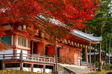 Obraz premium 醍醐寺 京都