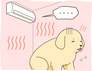 ゴールデンレトリバーの子犬（冷房の利いていない部屋）