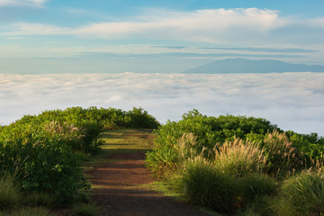 山道と雲海の風景