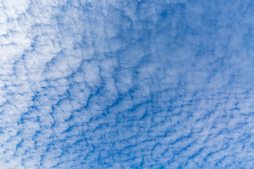 鱗雲（巻積雲）