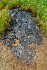 Industrial oil pollution on the surface of the soil is an environmental catastrophe.