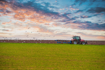 farmer plowing his fields at sunset