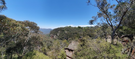 Panorama of Blue Mountains