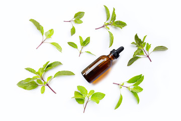 Essential oil with fresh holy basil  leaves on white.