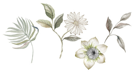 Flowers watercolor illustration.Manual composition.Big Set watercolor elements. - 320257940