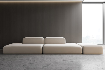 Loft gray living room with white sofa