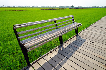 Bamboo bench beside wood walkway with background of fresh green field on perspective view