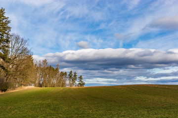 Fototapeta premium Early spring landscape in South Bohemia. Green field and forest. Blue sky.