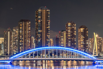 Fototapeta premium 永代橋と高層マンション