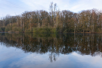 Fototapeta na wymiar Wald mit Spiegelung am Beversee, Naturschutzgebiet Beversee, Bergkamen, Nordrhein-Westfalen, Deutschland, Europa