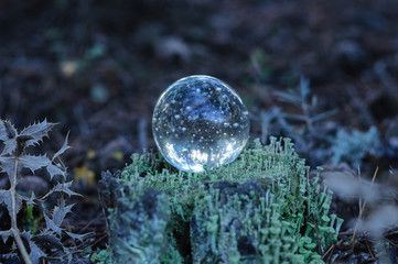glass ball on a green stump in the forest
