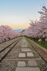 京都の蹴上インクライン