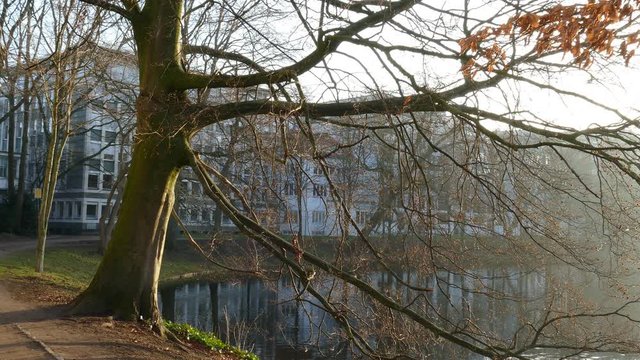 Kahle B&auml;ume und Mehrfamilienh&auml;user im Winter mit Morgennebel an einem Parkteich, Bremen