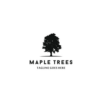 Maple tree logo icon design template. Maple silhoutte. Maple logo design logotype