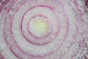 cut red onion rings closeup macro view