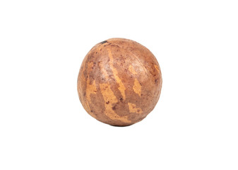 Macadamia nut in shell