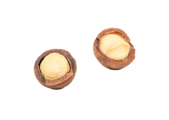 Macadamia nut isolated