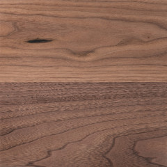 Texture of sanded raw black walnut wood without finish