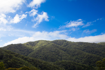 Obraz na płótnie Canvas 緑の山並と青空と白い雲