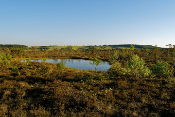 Fototapeta premium Das Naturschutzgebiet 