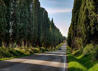 The open road, Italy. A single unidentifiable car driving through the Cypress tree avenue at...