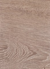 A Regular wood texture. Subtle color wooden background for natural banner. Timber surface closeup. Natural material for banner template.