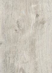 Fototapeta premium A Regular wood texture. Subtle color wooden background for natural banner. Timber surface closeup. Natural material for banner template.