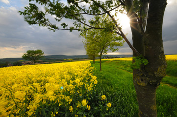 landscape around Hanover