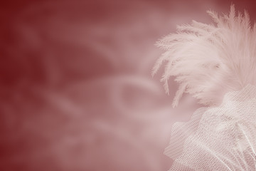 Air background with feathers and tulle. Soft pink background with feathers.