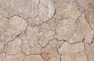 cracked earth texture