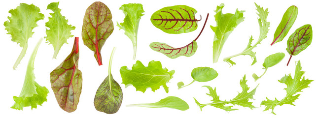 Set of fresh green lettuce leaves isolated on white background, detail for collage, close up