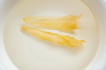 Traditional health and nourishing food Maw, catfish glue soaked in water