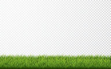Green grass border set on transparent background. Vector Illustration - obrazy, fototapety, plakaty