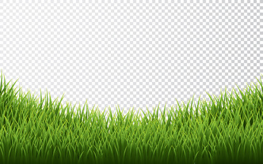 Fototapeta na wymiar Green grass border set on transparent background. Vector Illustration