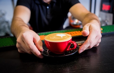 Obraz na płótnie Canvas Barista making cappuccino coffee pouring milk. Restaurant