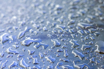 water drops on a blue background