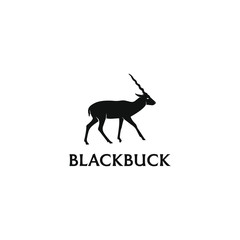 Blackbuck logo design. Antelop india silhoutte.